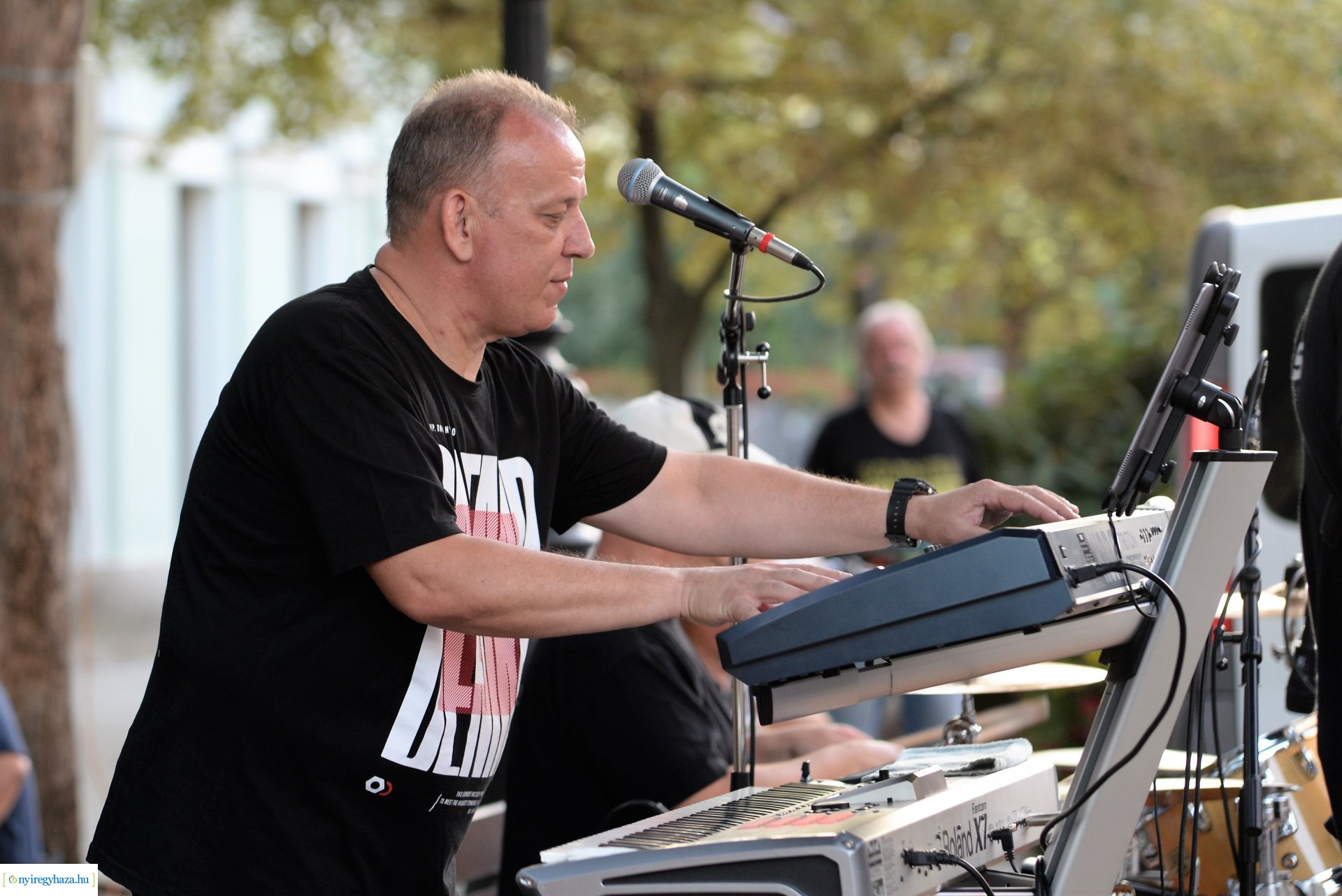 Téren-Nyáron - kedd este a Polip Band koncertezett