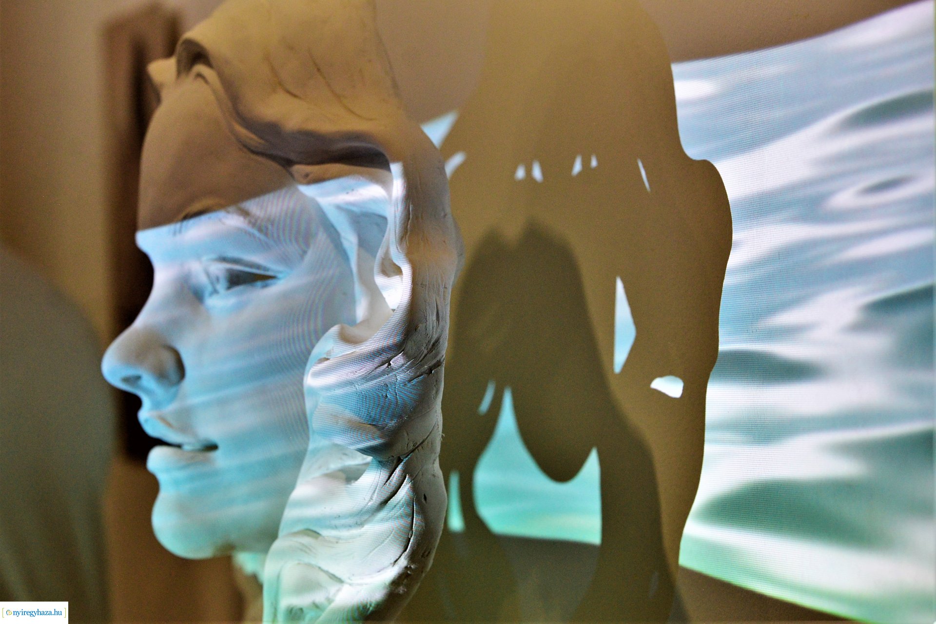 TERMÉSZETES-NATÜRLICH - kiállításmegnyitó a Pál Gyula Teremben