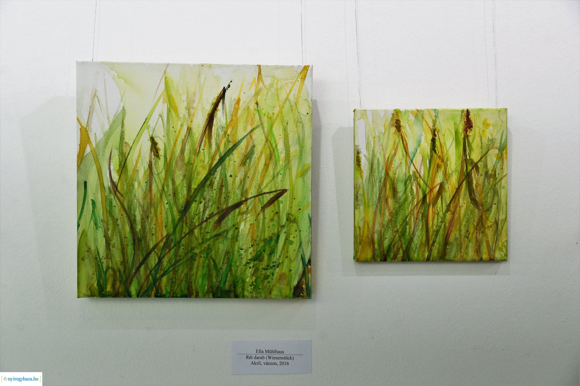 TERMÉSZETES-NATÜRLICH - kiállításmegnyitó a Pál Gyula Teremben