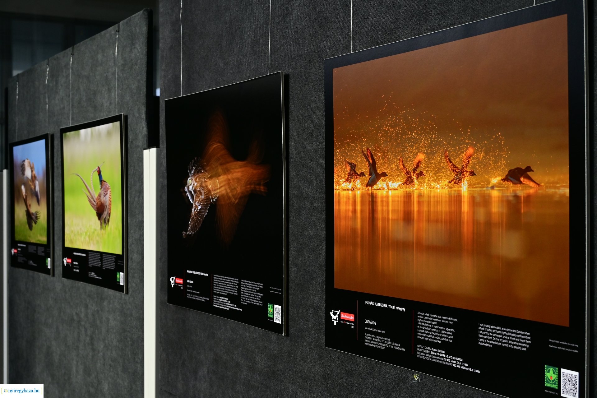 Természetfotó kiállítás 2024