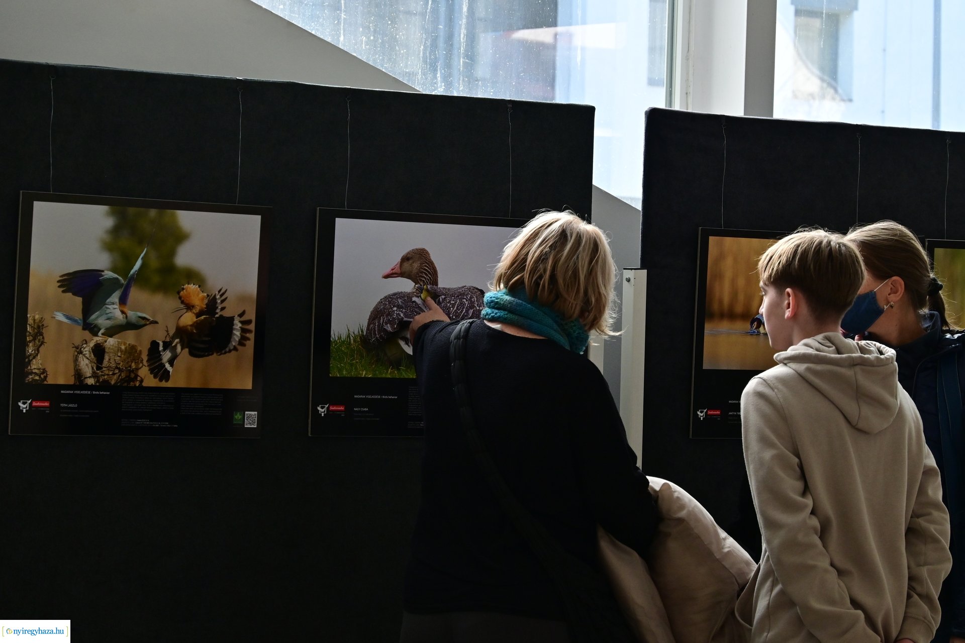 Természetfotó kiállítás 2024