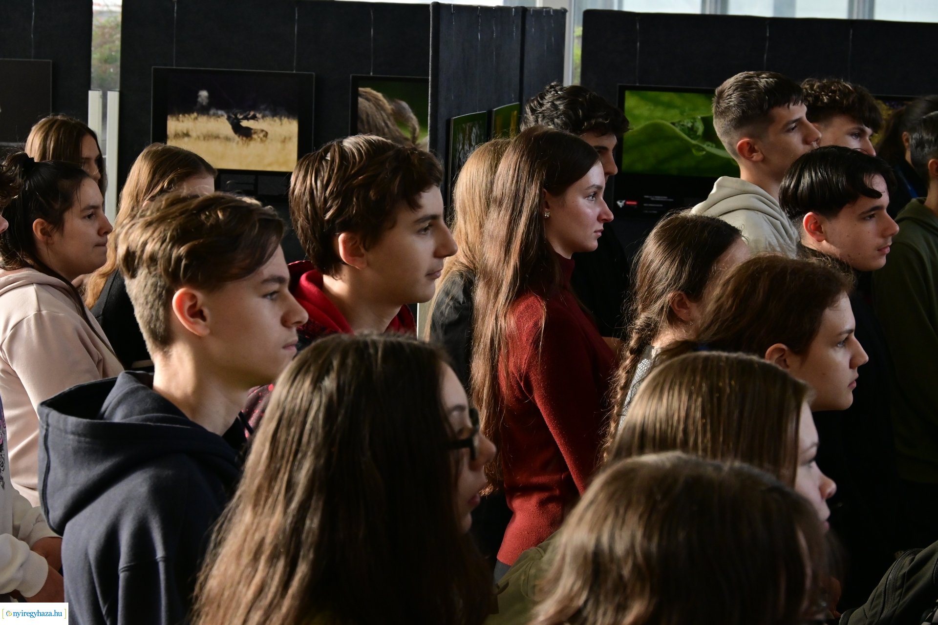 Természetfotó kiállítás 2024