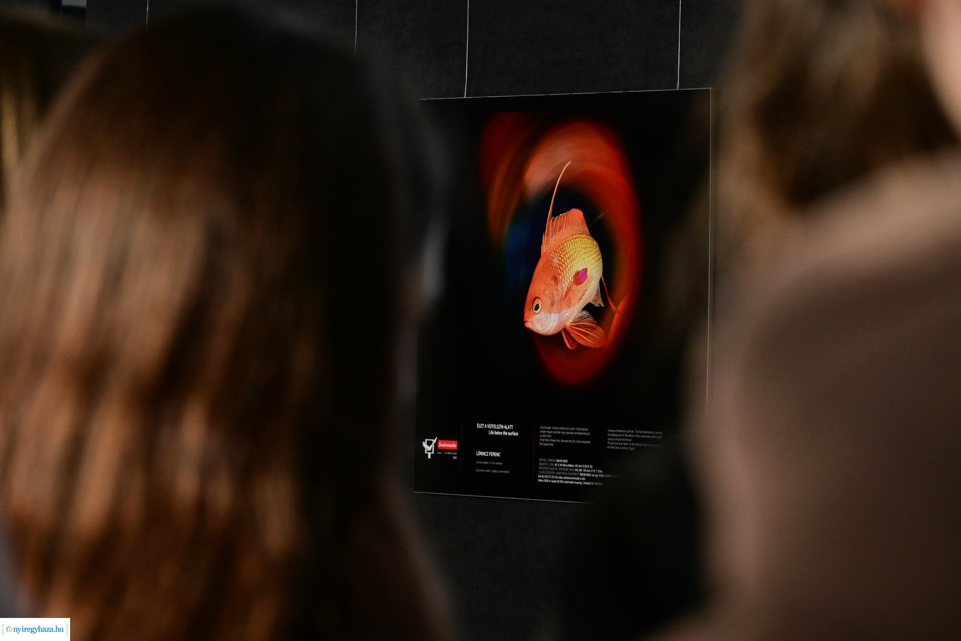 Természetfotó kiállítás 2024