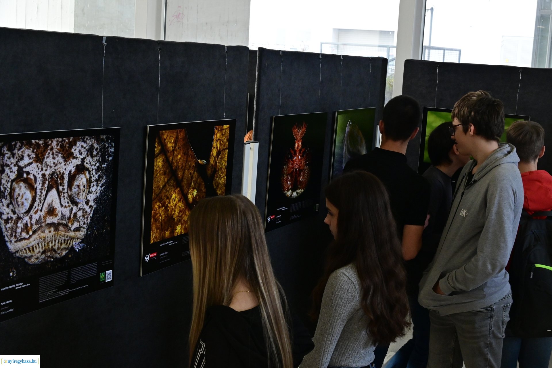 Természetfotó kiállítás 2024