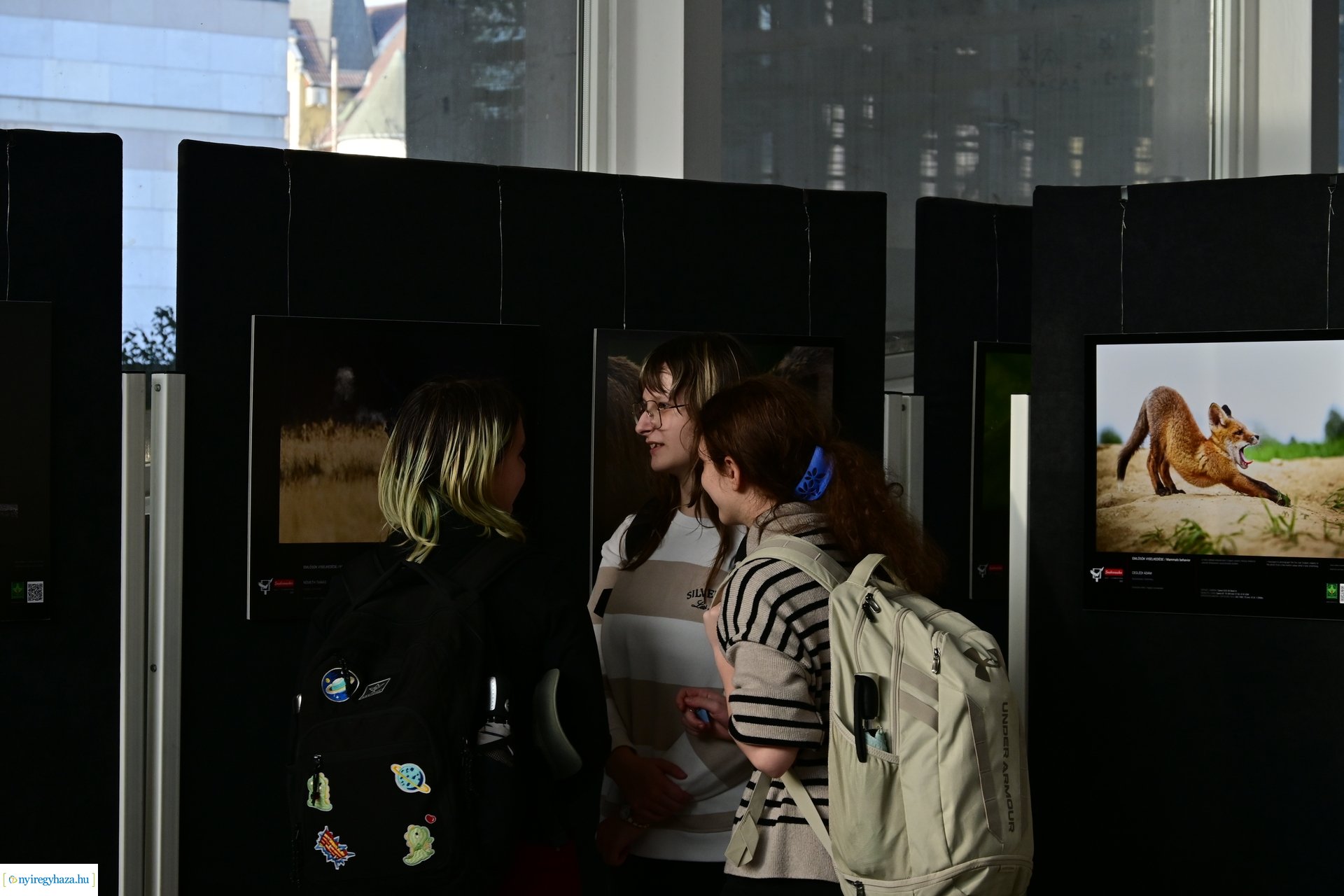 Természetfotó kiállítás 2024