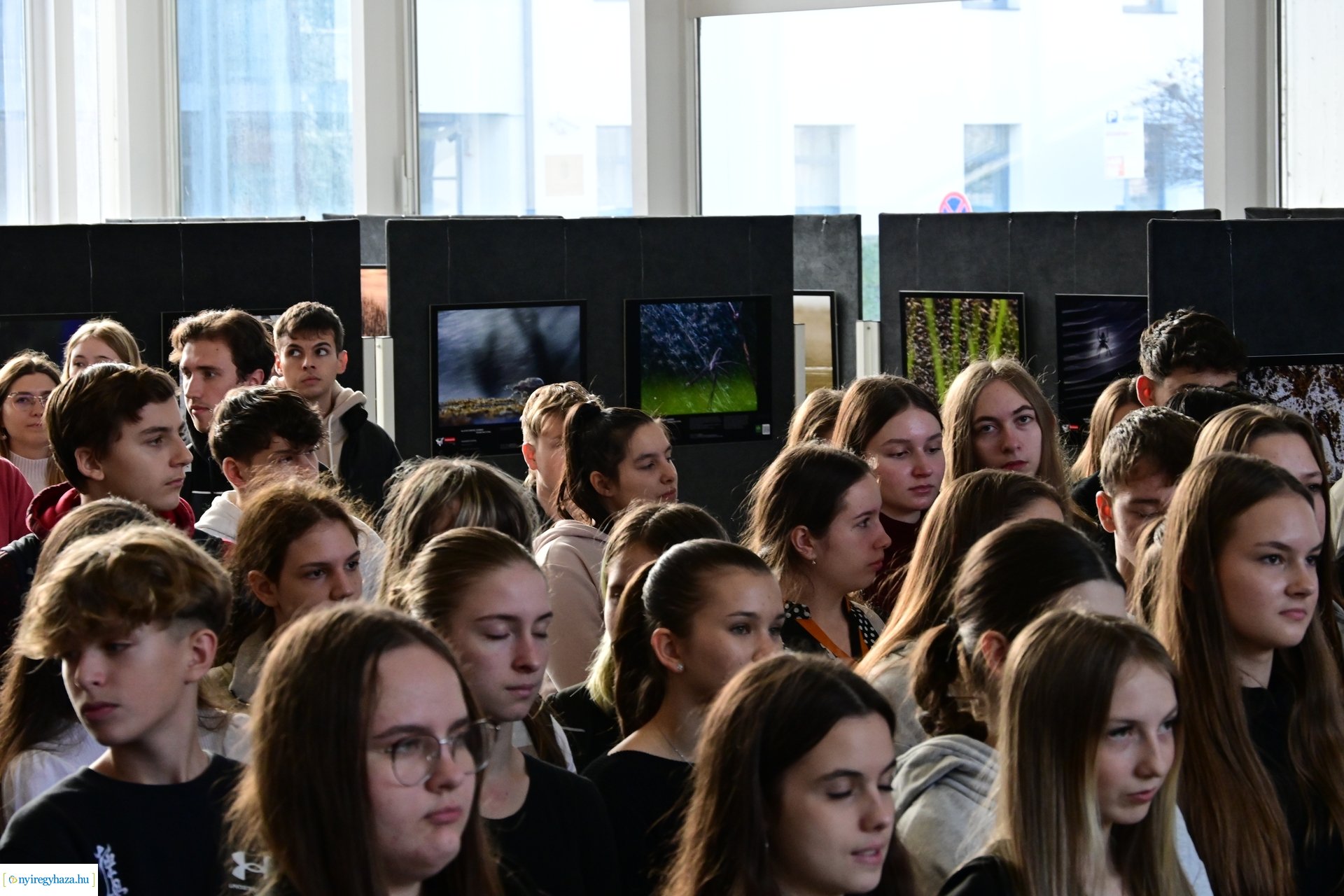 Természetfotó kiállítás 2024