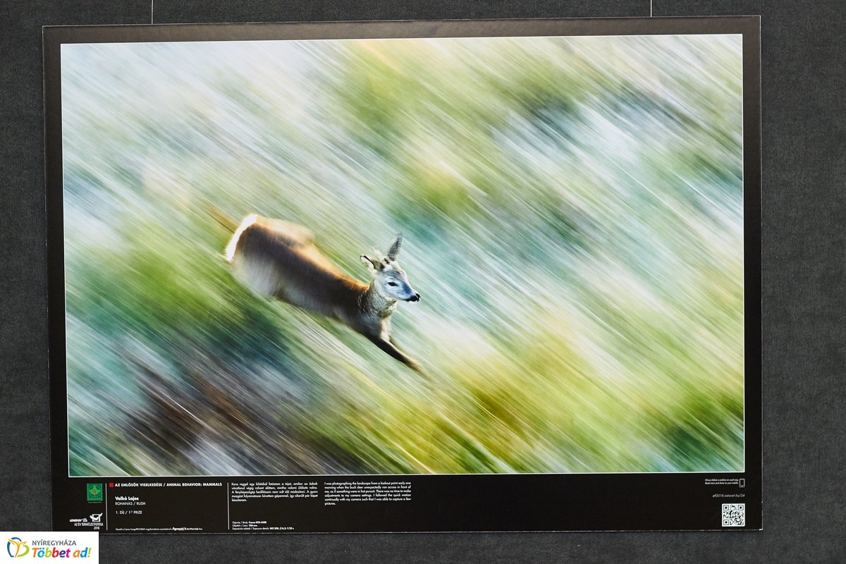 Természetfotó kiállítás a kulturális központban