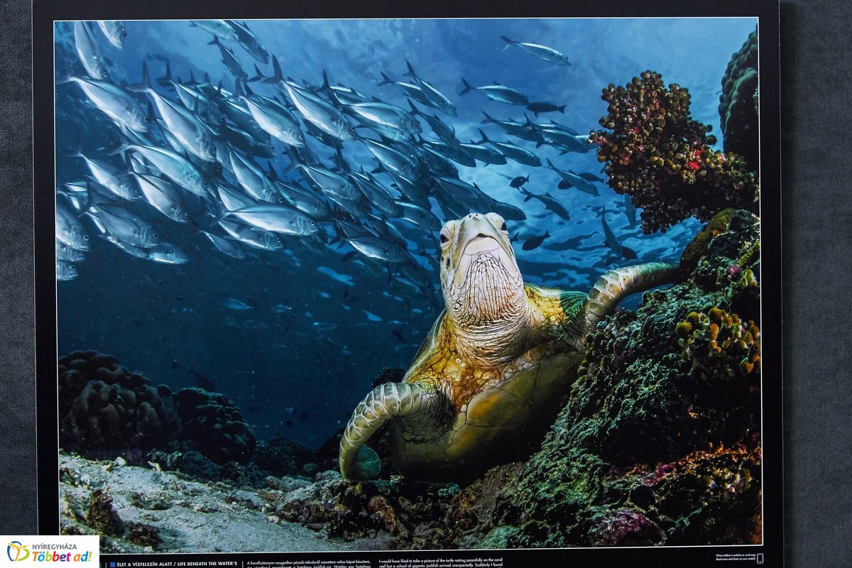 Természetfotó kiállítás a kulturális központban