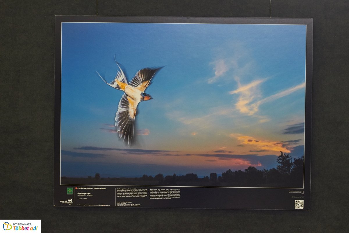 Természetfotó kiállítás a kulturális központban