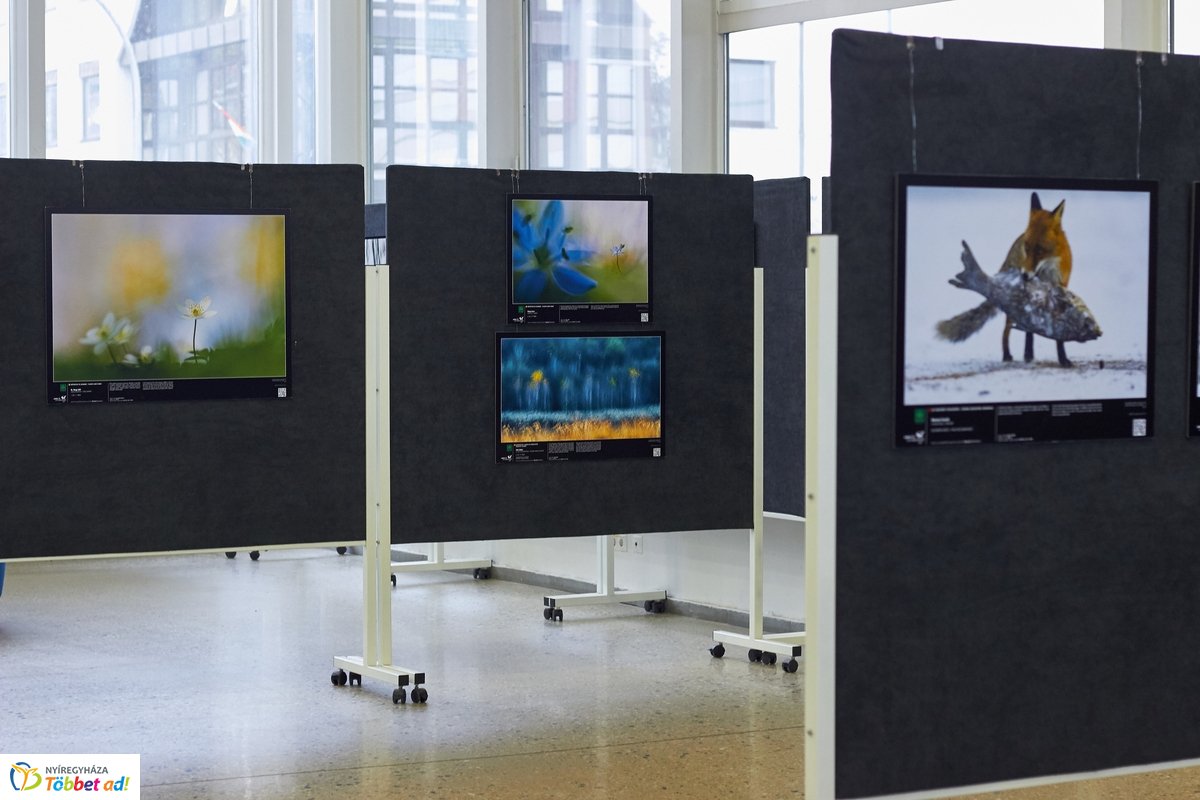 Természetfotó kiállítás a kulturális központban