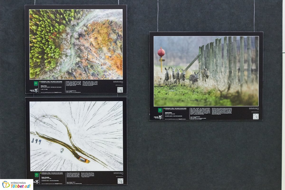 Természetfotó kiállítás a kulturális központban