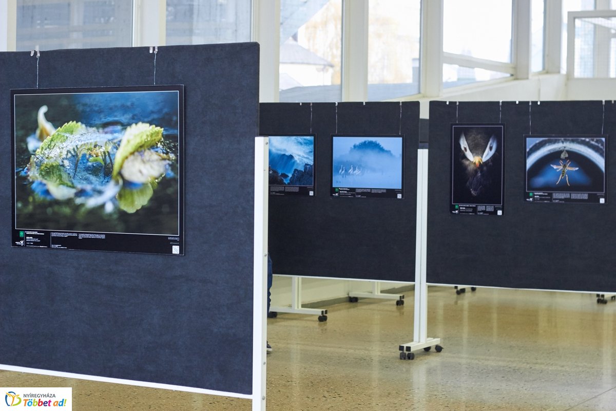 Természetfotó kiállítás a kulturális központban