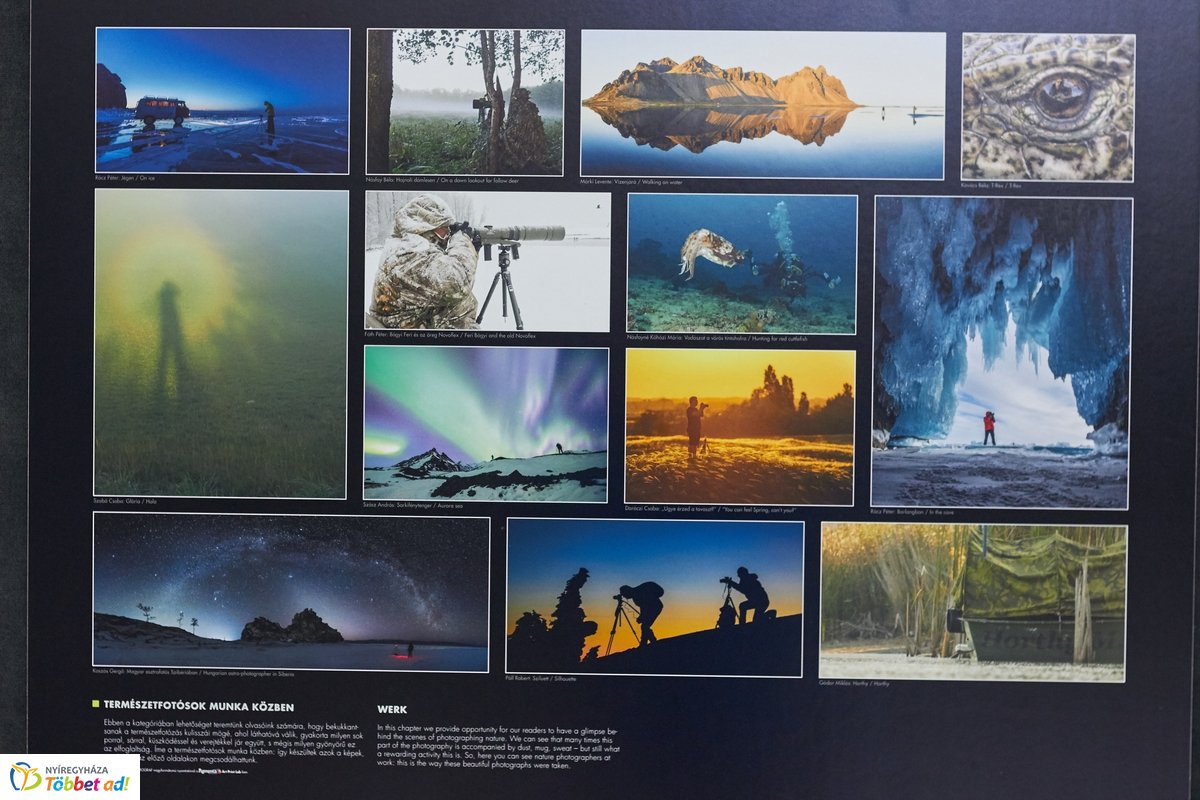 Természetfotó kiállítás a kulturális központban