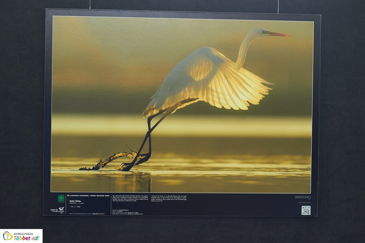 Természetfotó kiállítás a kulturális központban