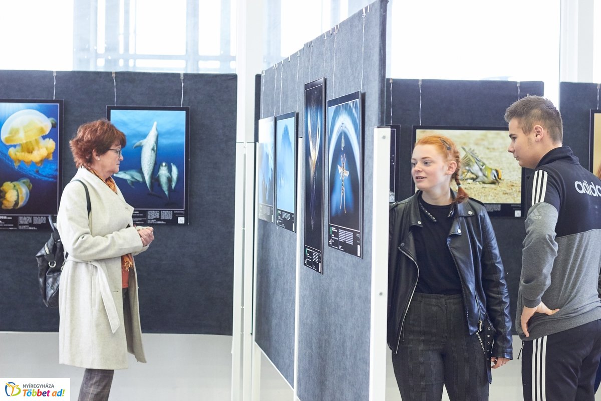 Természetfotó kiállítás a kulturális központban