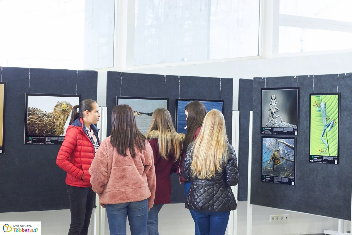Természetfotó kiállítás a kulturális központban
