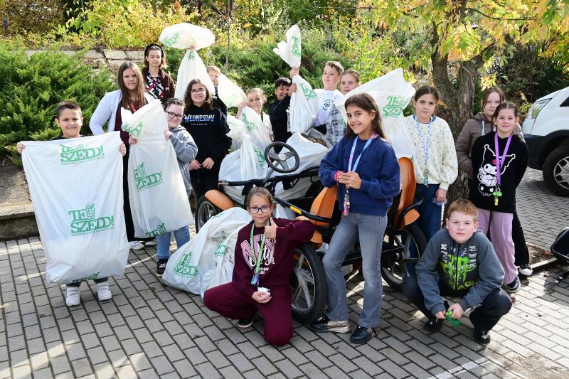 TeSzedd! akció - Gárdonyisok összefogása a tisztább Hímesért