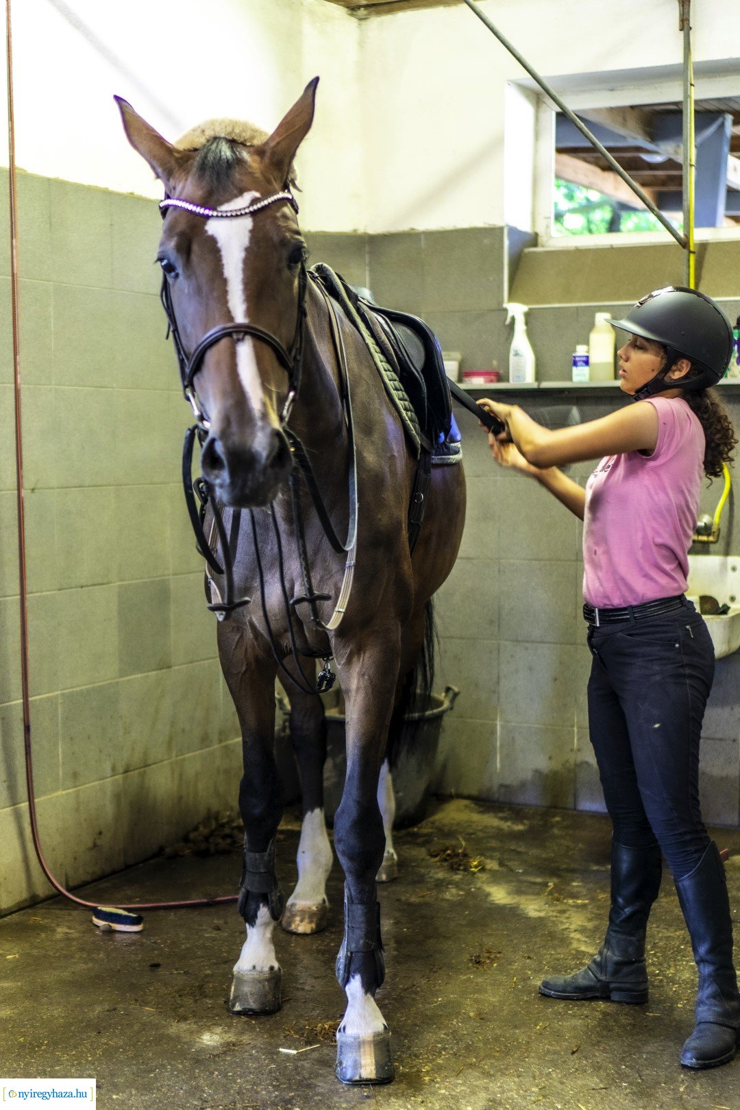 TIMPEX Fedeles lovarda átadása