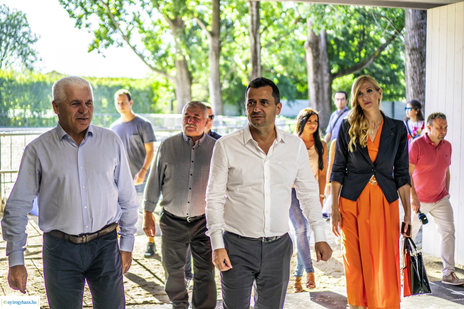 TIMPEX Fedeles lovarda átadása