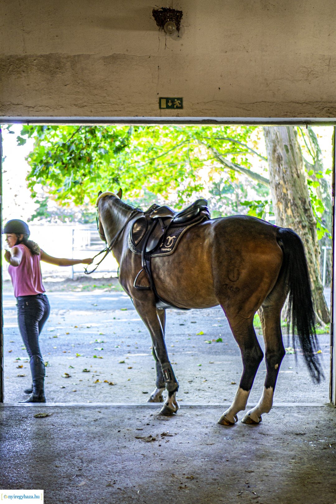TIMPEX Fedeles lovarda átadása