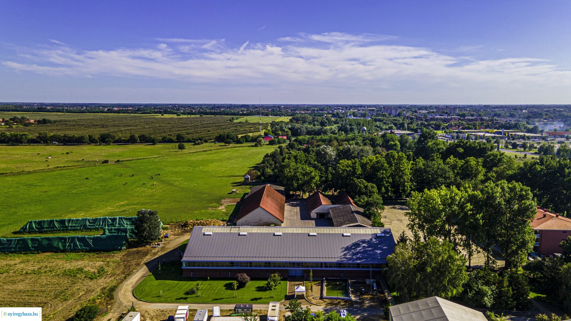 TIMPEX Fedeles lovarda átadása