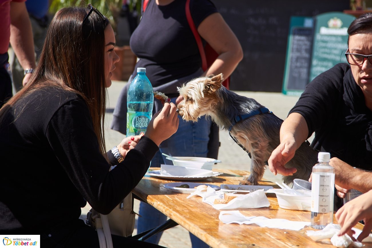 Tirpák Fesztivál 2019 pillanatok  1