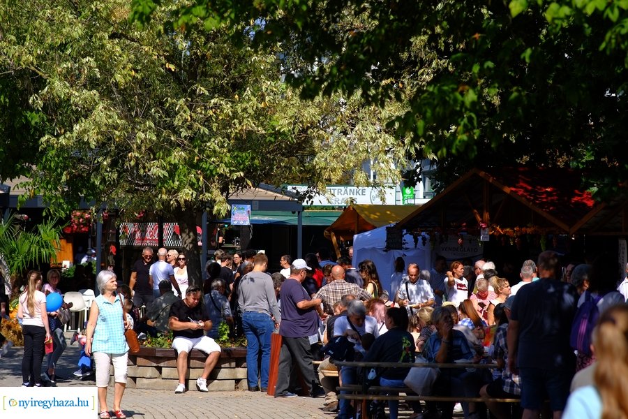 Tirpák Fesztivál 20230916 délelőtt