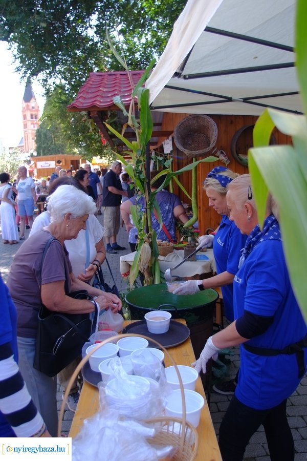 Tirpák Fesztivál 20230916 délelőtt