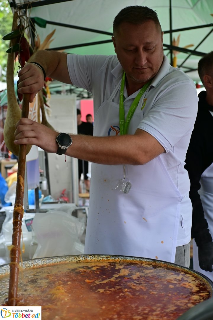 Tirpák Fesztivál 2026 pillanatfotók