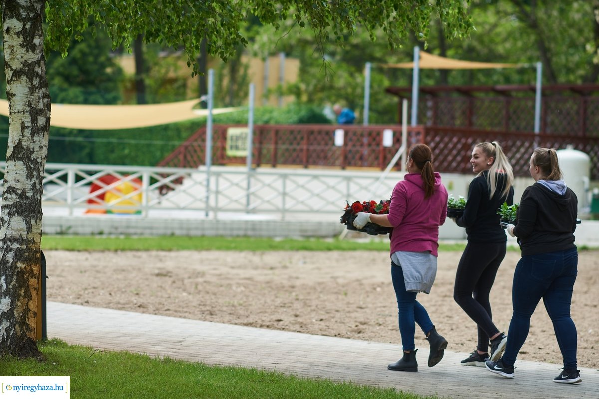 Tófürdő nyitás beharangozó