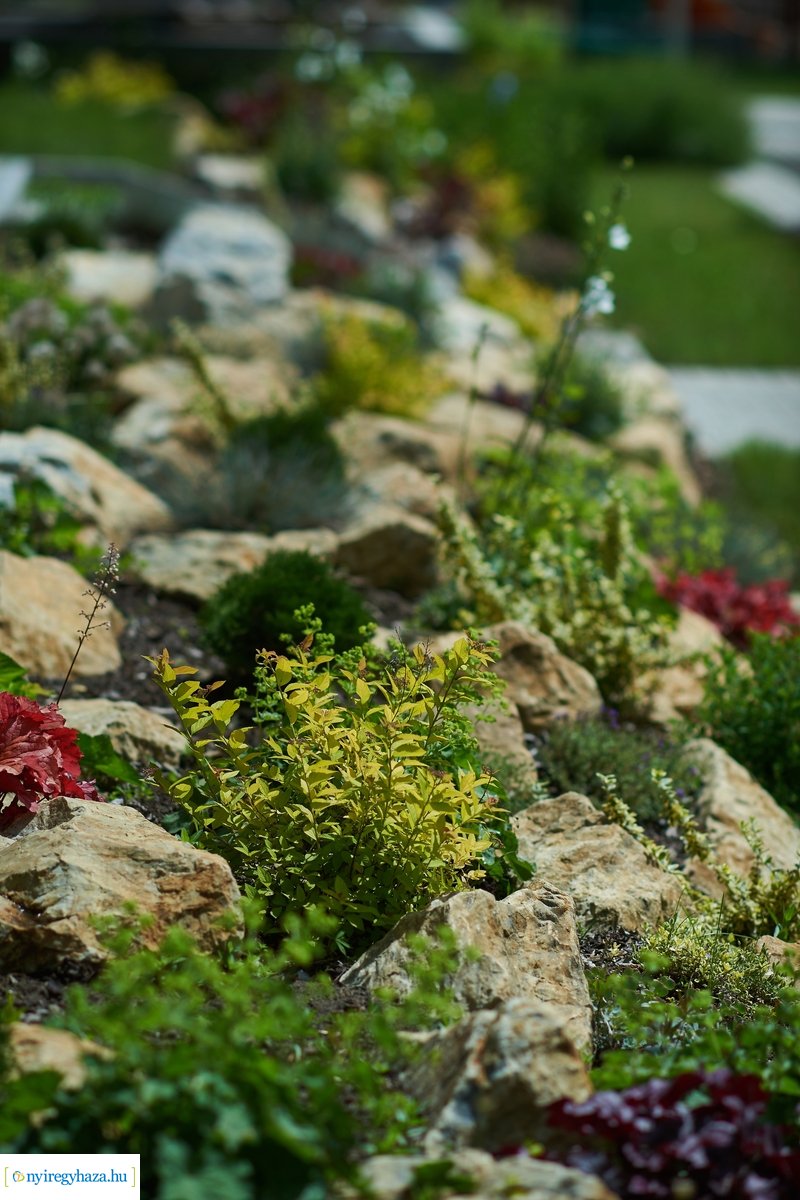 Tófürdő nyitás beharangozó