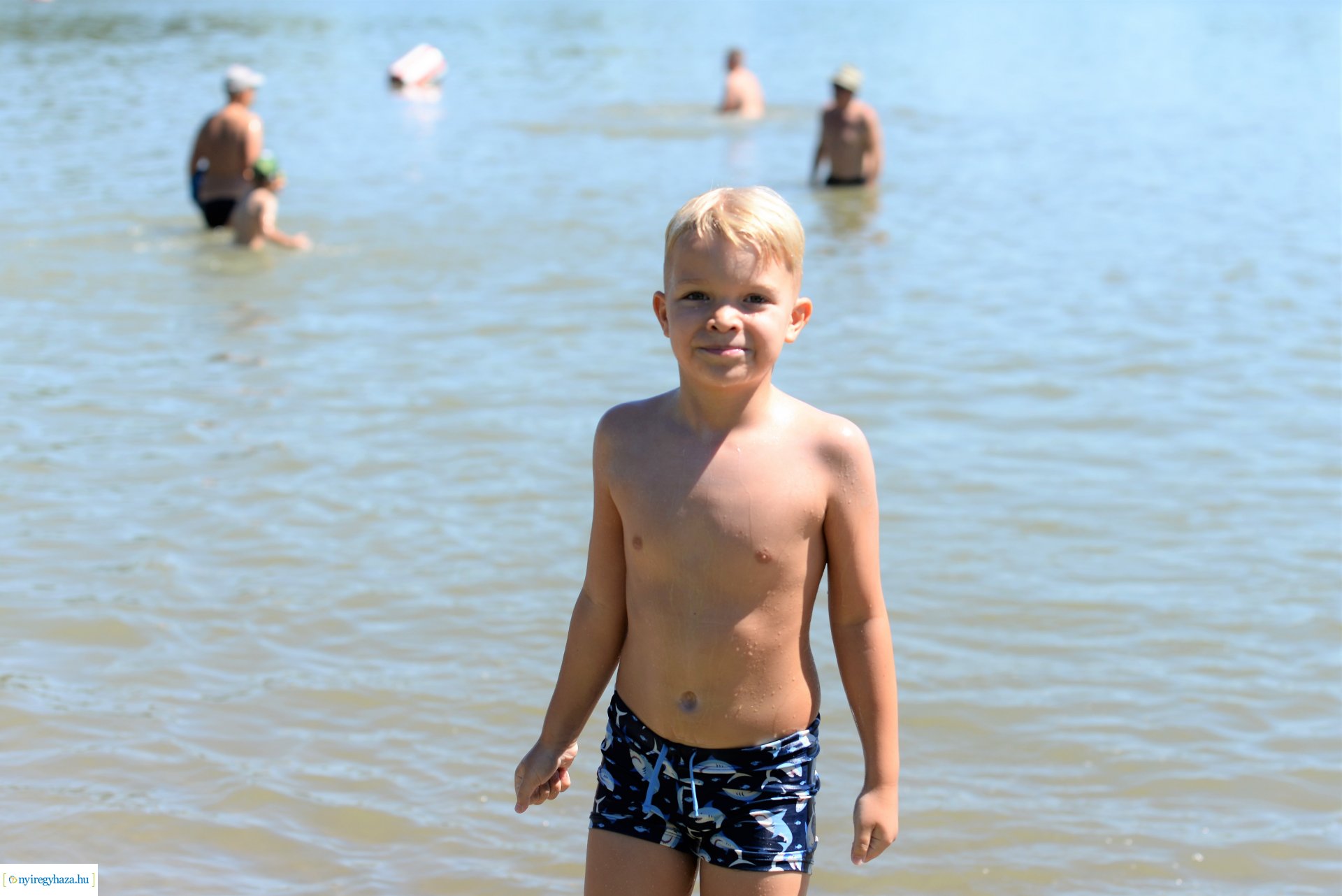 Tófürdős körkép