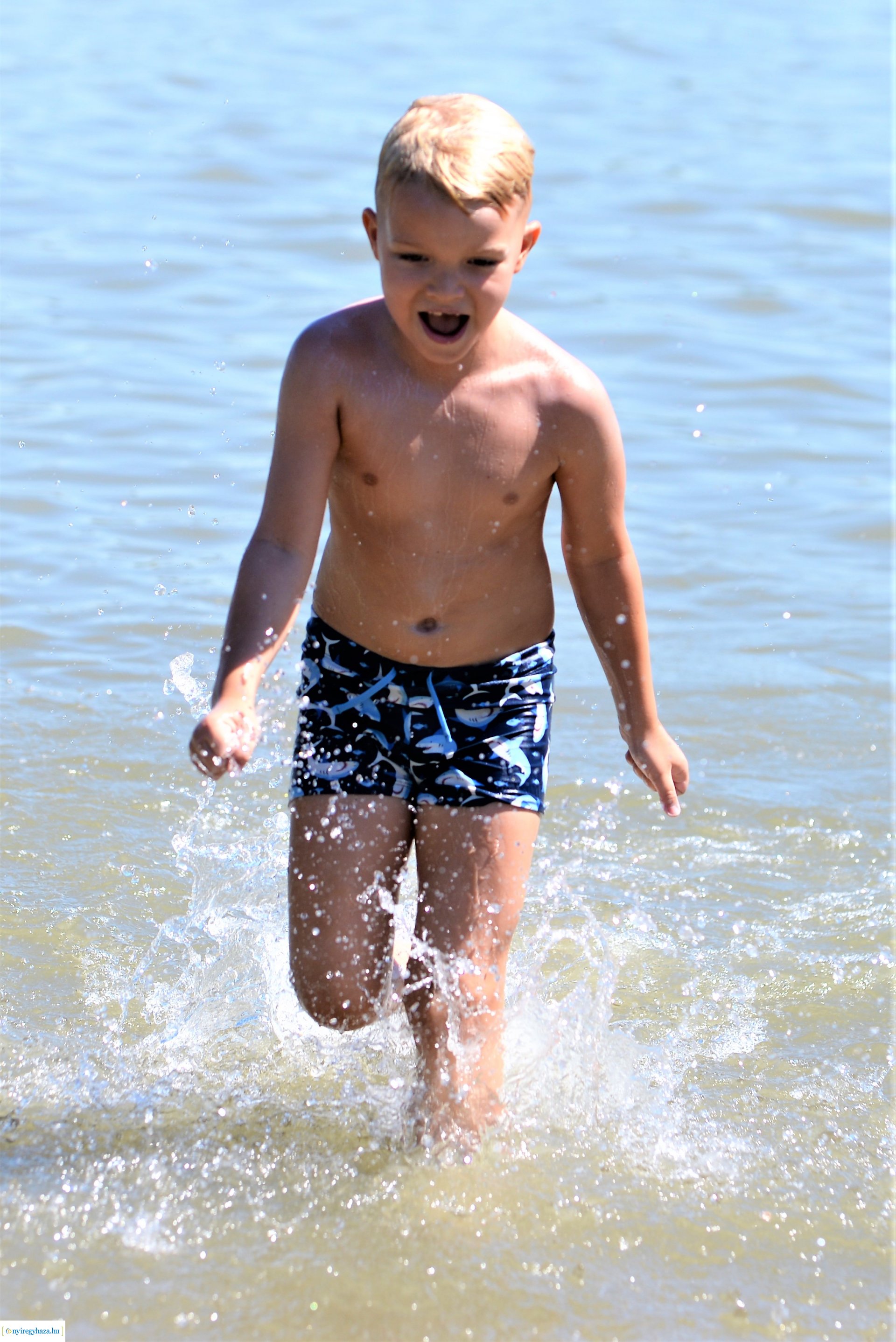 Tófürdős körkép