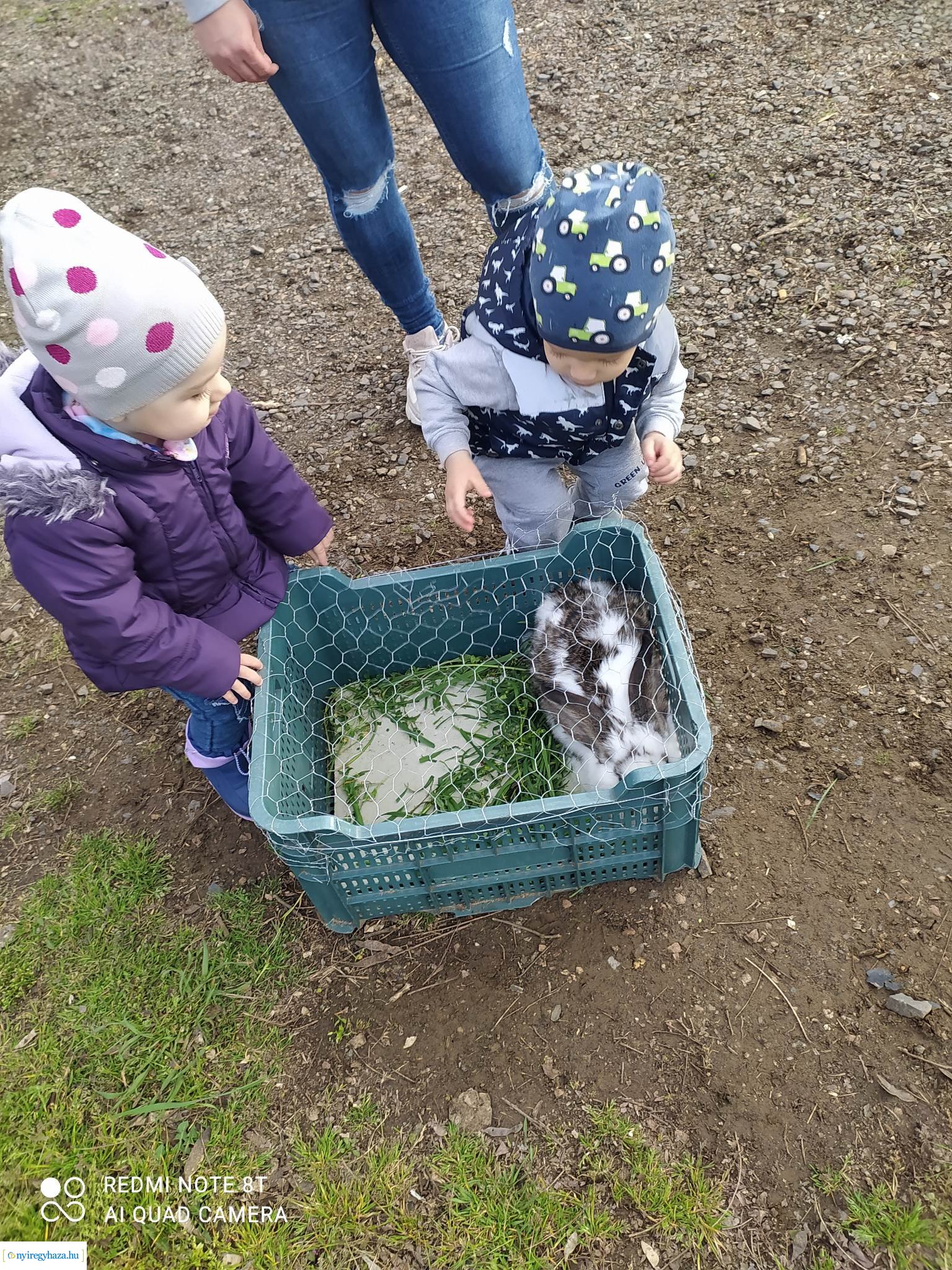Tojásfa díszítés, nyuszisimogatás és kézműves foglalkozások az orosi húsvéti hangolódáson