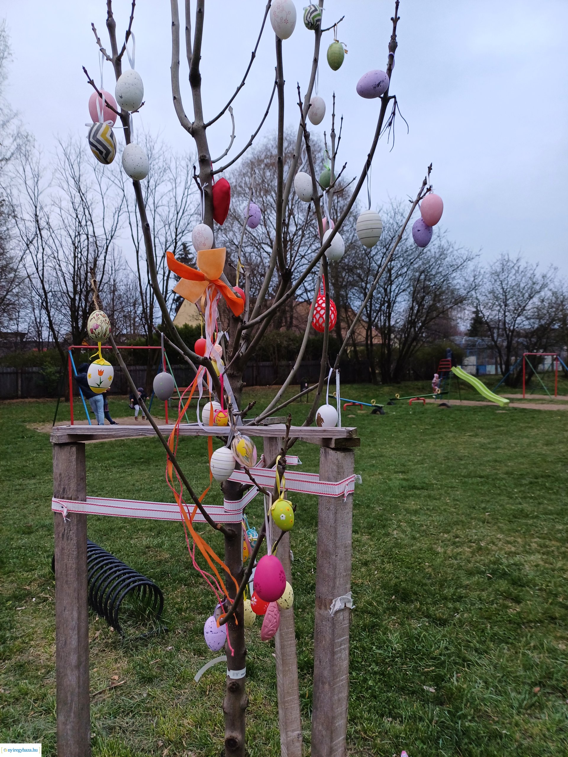 Tojáskeresés Oroson