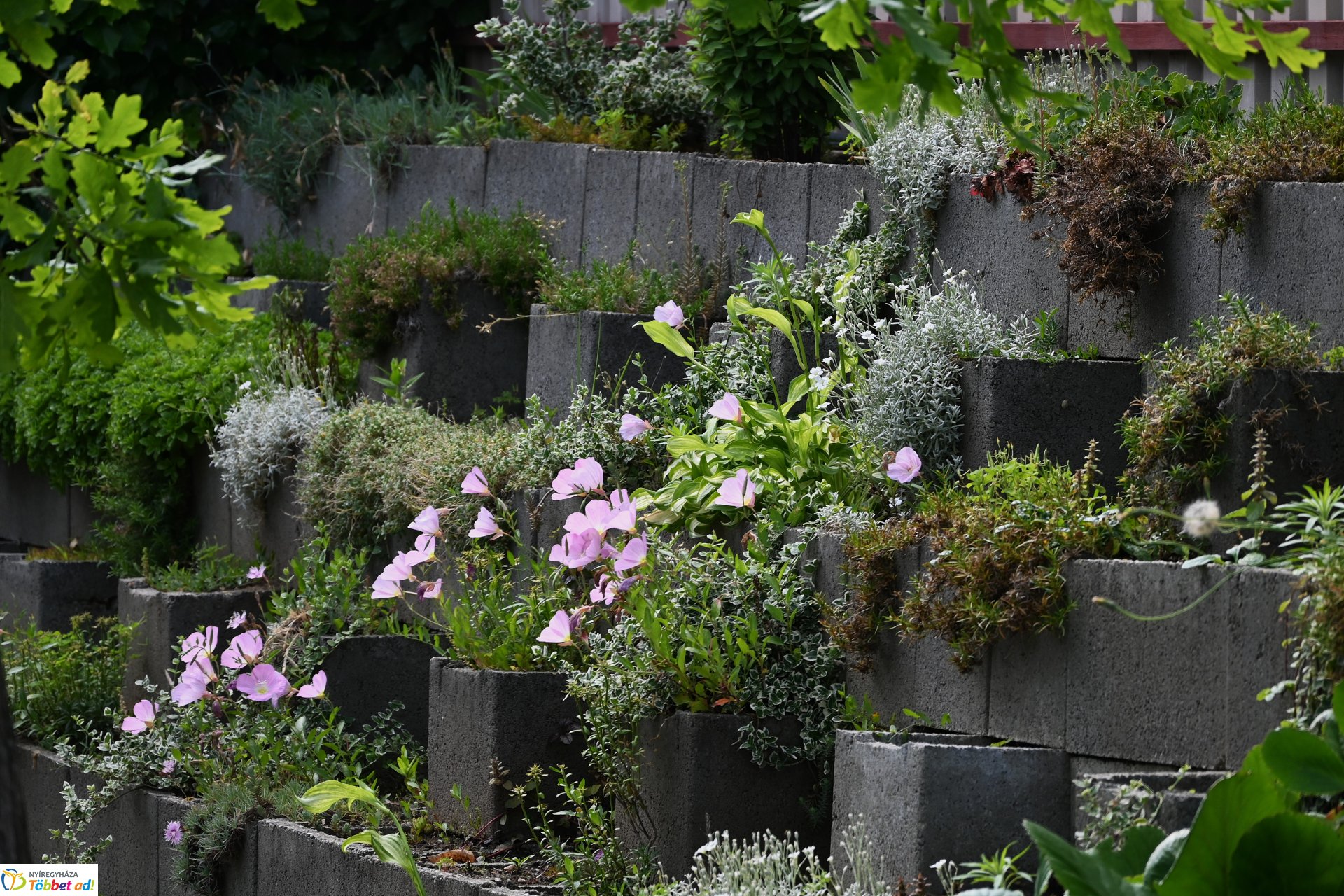 Trianoni megemlékezés Sóstóhegyen 