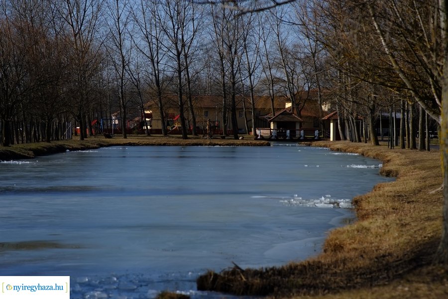 Tüskevári csendélet 20230212