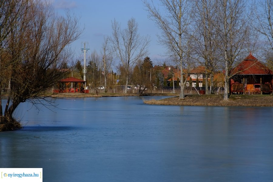 Tüskevári csendélet 20230212