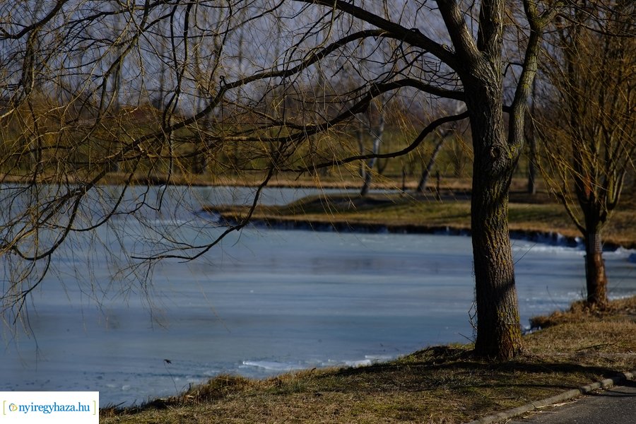 Tüskevári csendélet 20230212