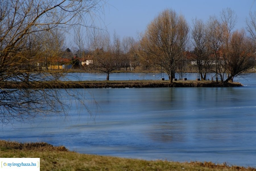 Tüskevári csendélet 20230212