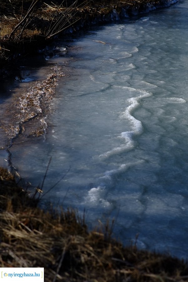 Tüskevári csendélet 20230212