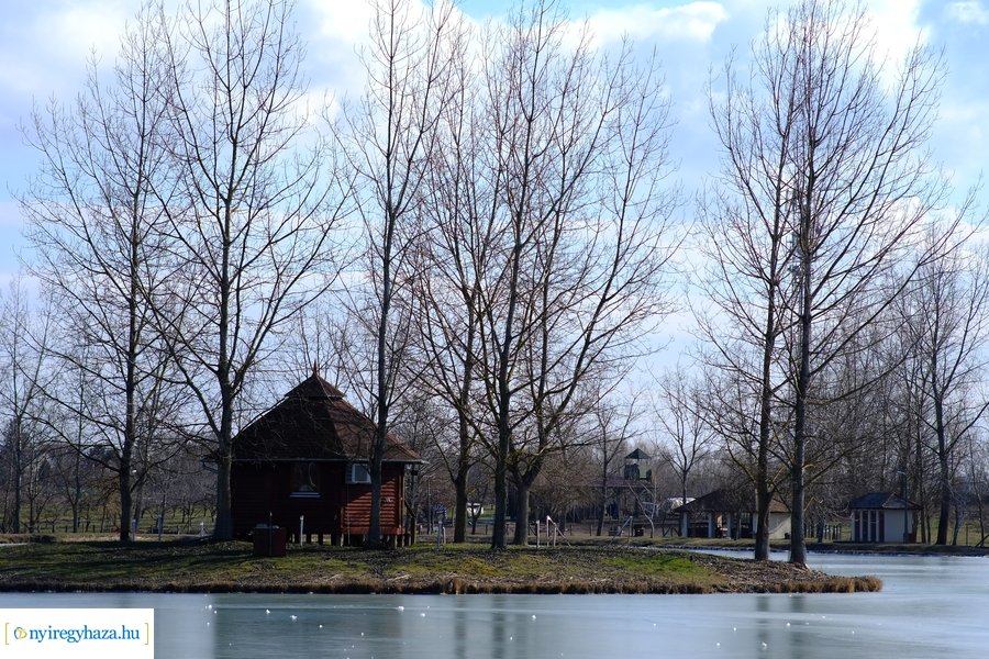 Tüskevári csendélet 20230212