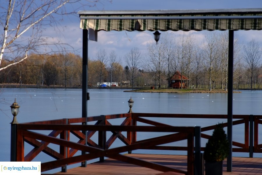 Tüskevári csendélet 20230212