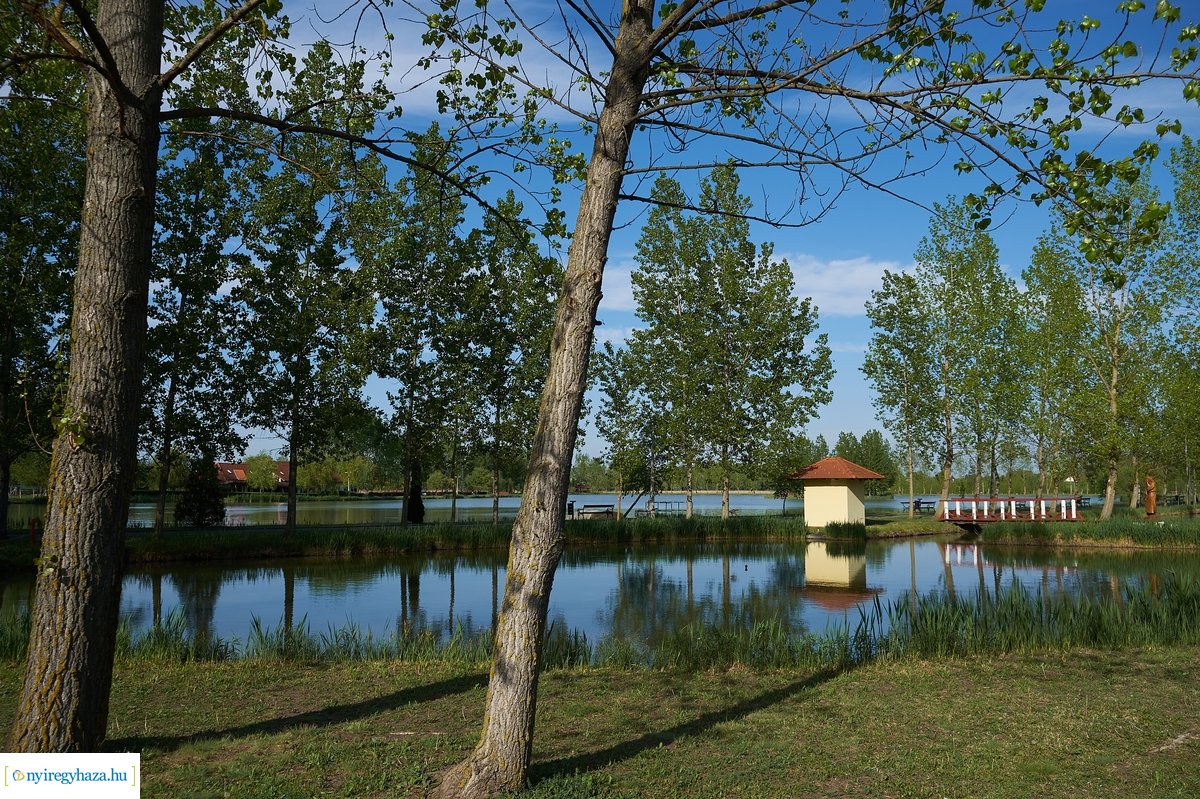 Tüskevári csendélet 