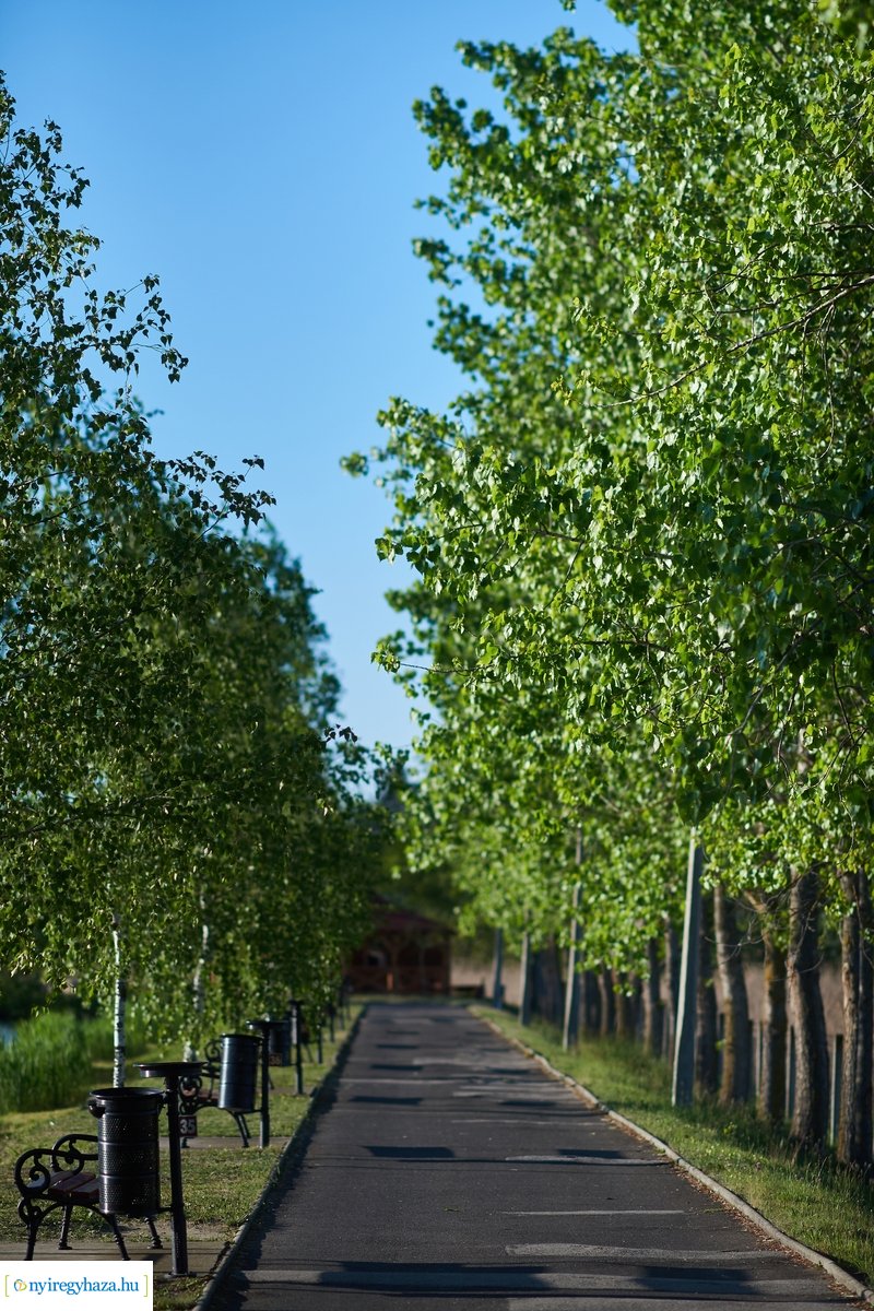 Tüskevári csendélet 