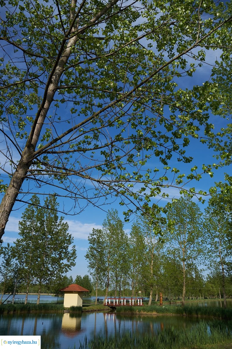 Tüskevári csendélet 