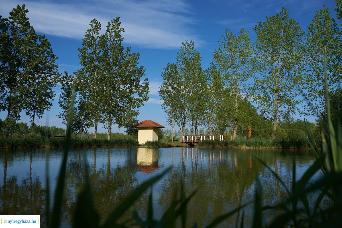 Tüskevári csendélet 