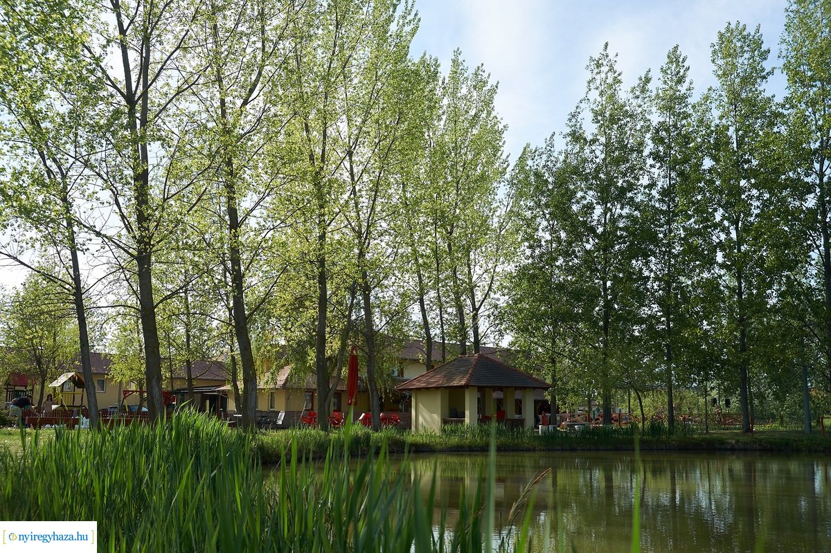 Tüskevári csendélet 