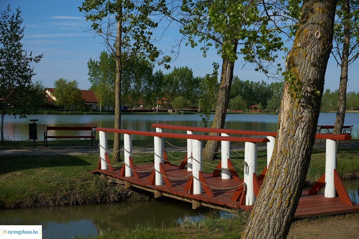 Tüskevári csendélet 