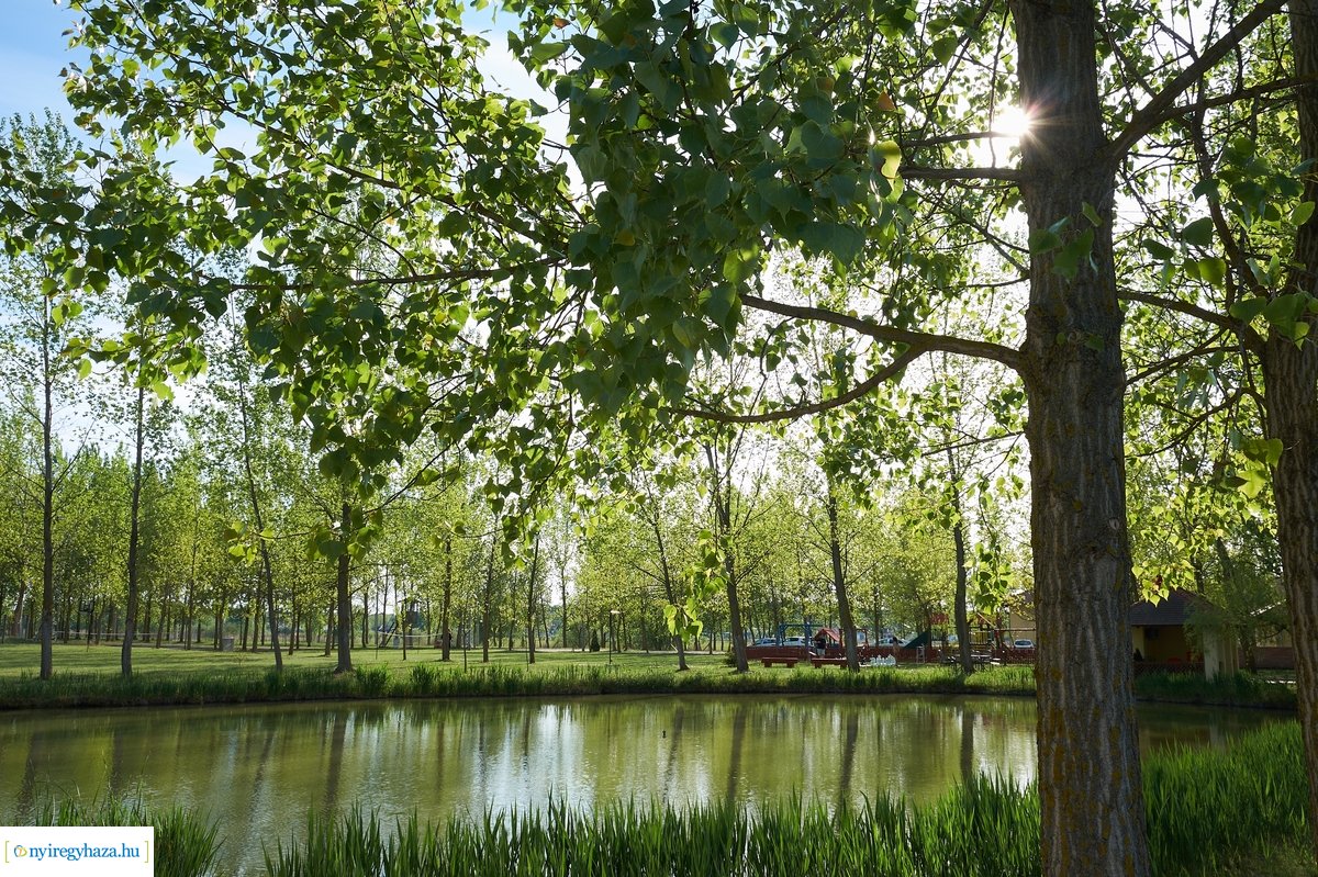 Tüskevári csendélet 